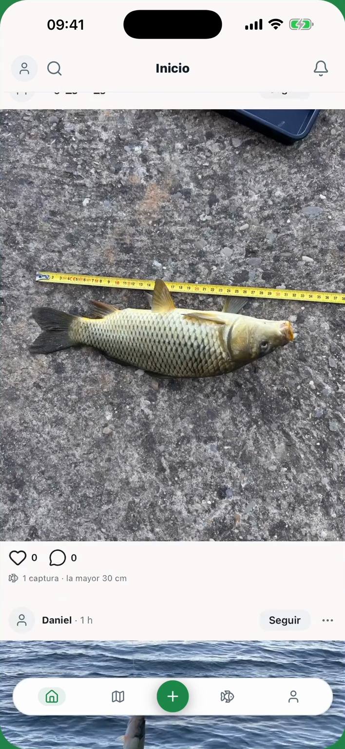 Inicio de Sedal con las jornadas que publican otros pescadores: foto de una carpa medida con cinta métrica
