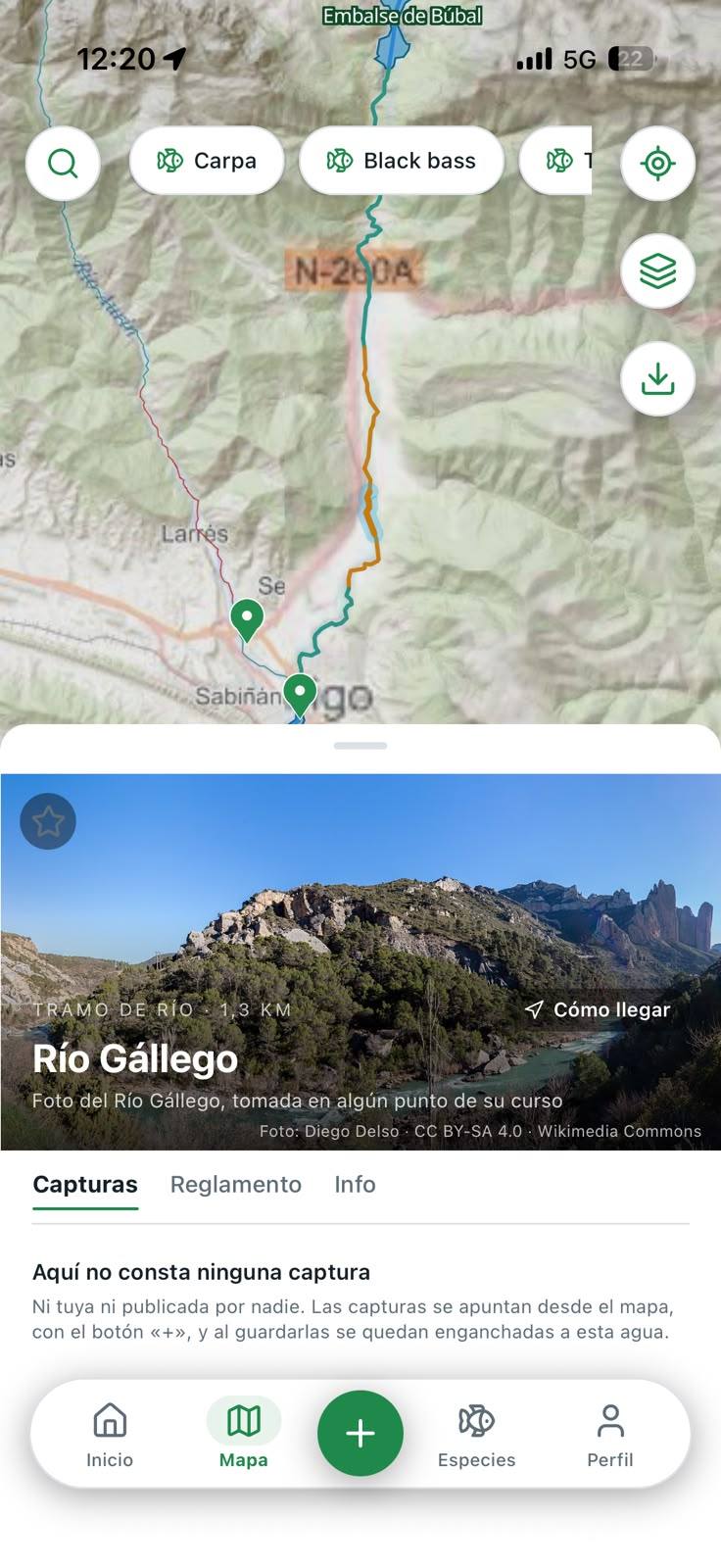 Ficha del río Gállego en Sedal: foto del tramo, cómo llegar y pestañas de capturas, reglamento e información